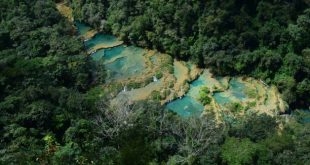 semuc champey